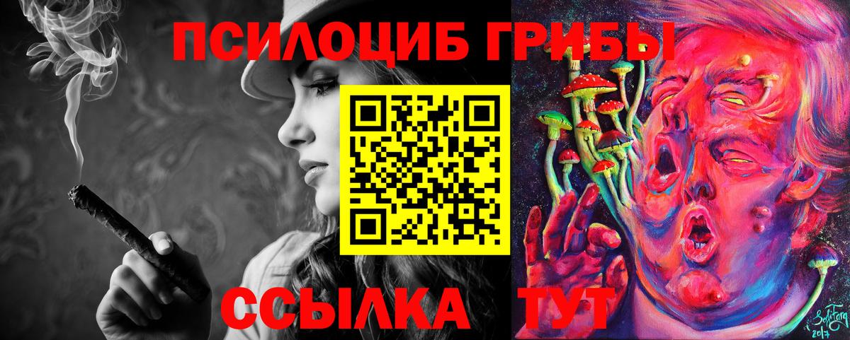 Галлюциногенные грибы мицелий  магазин продажи   Ессентуки  Вход с VPN 